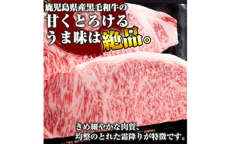 C-030 鹿児島県産黒毛和牛＜A5等級＞黒毛和牛サーロインステーキ約250ｇ×2枚【きりしま畜産】 肉 牛肉 サーロイン ステーキ