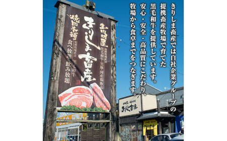 C-030 鹿児島県産黒毛和牛＜A5等級＞黒毛和牛サーロインステーキ約250ｇ×2枚【きりしま畜産】 肉 牛肉 サーロイン ステーキ