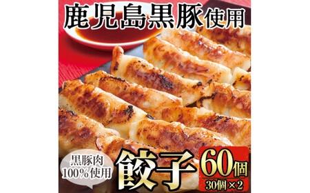 A-109 鹿児島黒豚餃子60個(30個×2)【九面屋】