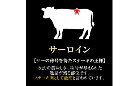 C-079 <期間限定!黒豚ハンバーグ付>鹿児島県産黒毛和牛サーロインステーキ3枚 計600g(A-5等級)【九面屋】霧島市 国産 牛肉 A5