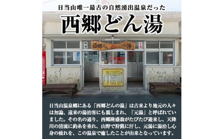A-048 天然湧出温泉「西郷どん湯」温泉宿ペア宿泊券（素泊まり・要予約）【西郷どん湯温泉組合】