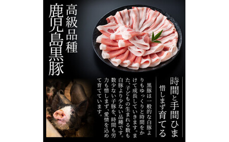 A-044 とんこつベースの霧島神話豚カレー5食入り(160g×5袋)【富士食品】