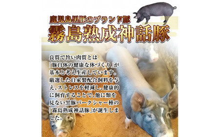 A-044 とんこつベースの霧島神話豚カレー5食入り(160g×5袋)【富士食品】