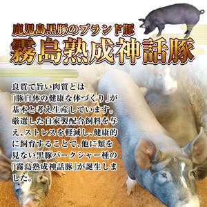 A0-233 とんこつベースの霧島神話豚カレー+豚みそセット【富士食品】霧島市 カレー レトルトカレー ポークカレー レトルト食品 レトルト 鹿児島黒豚 熟成カレー 惣菜 豚みそ おかず 小分け 常温保存 温めるだけ