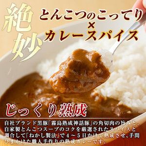 A0-233 とんこつベースの霧島神話豚カレー+豚みそセット【富士食品】霧島市 カレー レトルトカレー ポークカレー レトルト食品 レトルト 鹿児島黒豚 熟成カレー 惣菜 豚みそ おかず 小分け 常温保存 温めるだけ