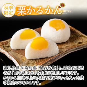 A0-242 ＜先行予約受付中！2026年9月～11月末の間に発送予定＞極上元かるかんと季節のかるかんセット(秋)計15個【徳重製菓とらや】