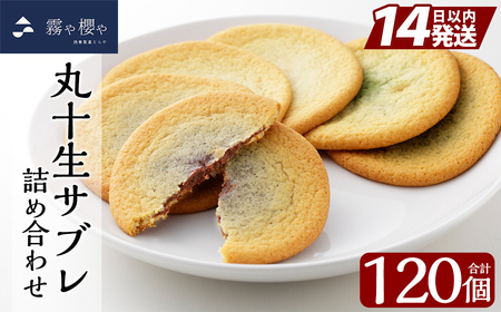 C-086 丸十生サブレ詰め合わせ(12枚入×10箱 計120枚)【徳重製菓とらや