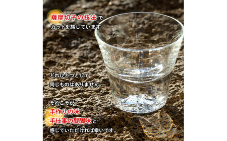 D-028 桜島グラス