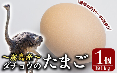 A3-002 国産！ダチョウのたまご(1個)鶏の卵の約30個分！プリン