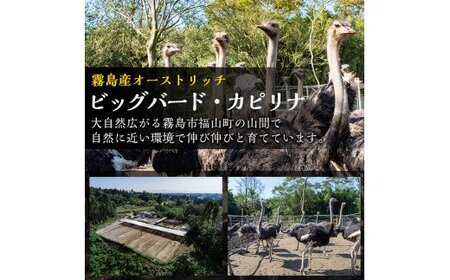 A3-002 国産！ダチョウのたまご(1個)鶏の卵の約30個分！プリン