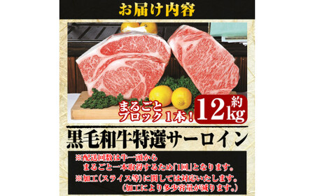 P-702 鹿児島県産黒毛和牛＜A5等級＞黒毛和牛特選サーロイン1本約12kg【きりしま畜産】牛肉 国産 ステーキ すき焼き ブロック肉