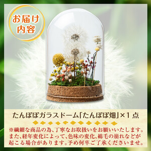 A0-257 たんぽぽガラスドーム・たんぽぽ畑(1点)【かわいち国分】霧島市 インテリア たんぽぽ ガラスドーム 置き物 ドライフラワー ハンドメイド