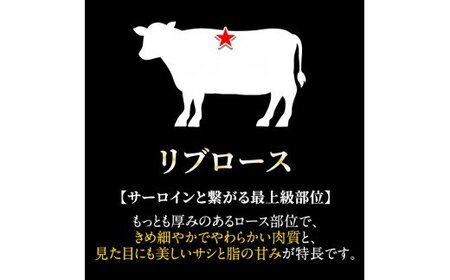 C-080 ＜数量限定！＞鹿児島県産黒毛和牛リブロース肉600g(A-5等級)【九面屋】