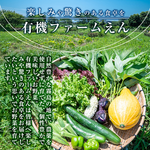A2-011 霧島産!旬の野菜セット(季節の野菜10品)【有機ファームえん】