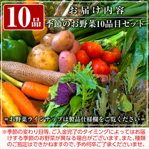 A2-011 霧島産!旬の野菜セット(季節の野菜10品)【有機ファームえん】