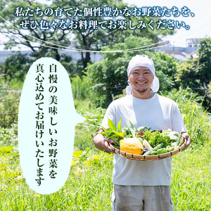 A2-011 霧島産!旬の野菜セット(季節の野菜10品)【有機ファームえん】