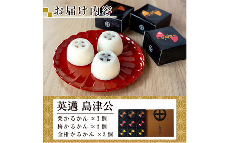 A6-003 かるかん饅頭「英邁 島津公」3種セット(計9個)【森三】霧島市 和菓子 かるかん 軽羹 饅頭 まんじゅう 茶請け 常温