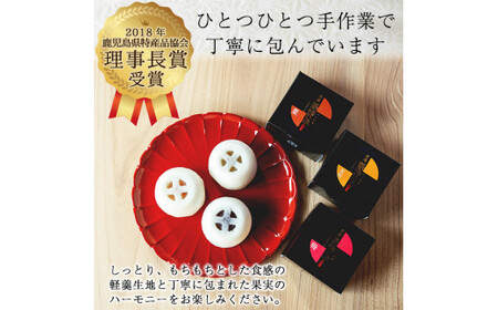 A6-003 かるかん饅頭「英邁 島津公」3種セット(計9個)【森三】霧島市 和菓子 かるかん 軽羹 饅頭 まんじゅう 茶請け 常温