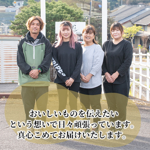 A2-012 鹿児島県産＜紅はるか＞土付き(10kg)【フレッシュジャパン鹿児島】