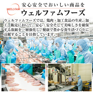 【寄附額改定】 A0-271 九州産!若どり冷凍もも切身(400g×6袋・計2.4kg)【ウェルファムフーズ】霧島市 国産 鶏 鳥肉 もも肉 小分けパック