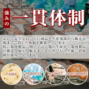 A0-272 ＜2024年6月発送分(6月30日迄に発送)＞森林どり むね肉(2kg×3袋・計6kg)【ウェルファムフーズ】