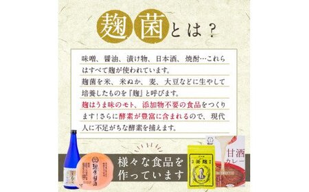 A7-006 麹屋の食べる甘酒「お米と麹だけ」 100g×18個(合計1.8kg)【河内菌本舗】