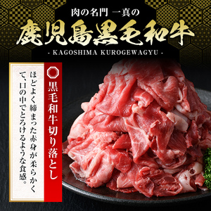 A5-024 鹿児島黒毛和牛切り落とし(800g)【肉の名門　一真】