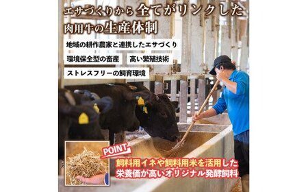 B0-200 国産！上村牛＆A5等級黒毛和牛しゃぶしゃぶ食べ比べセット(合計1kg)【カミチク】