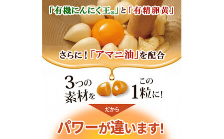 A0-342 伝統にんにく卵黄＋アマニ・スタンドタイプ(1袋62粒入)【健康家族】霧島市 サプリメント サプリ 健康食品 栄養補助食品