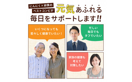 A0-342 伝統にんにく卵黄＋アマニ・スタンドタイプ(1袋62粒入)【健康家族】霧島市 サプリメント サプリ 健康食品 栄養補助食品