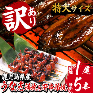 訳あり！鹿児島県産うなぎ蒲焼 特大 190g超 と うなぎの肝串1袋（5本入り） 訳ありうなぎの蒲焼 うなぎ 鰻 ウナギ 国産 鹿児島県産 うなぎの蒲焼のタレ付き【A-1551H】