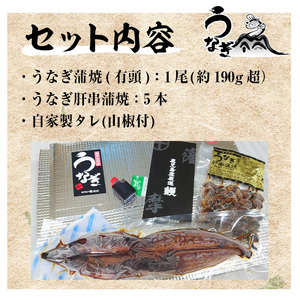 訳あり！国産うなぎ（鹿児島県産うなぎ）蒲焼 特大 190g超 と うなぎの肝串1袋（5本入り）訳ありうなぎの蒲焼 うなぎ 鰻 ウナギ 国産 鹿児島県産 うなぎの蒲焼のタレ付き 国産うなぎ 鹿児島県産うなぎ【A-1674H】