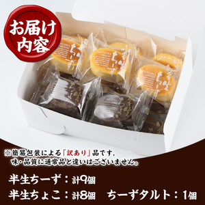 【家計応援】【訳あり！簡易包装】ご自宅用！半生ちーず 9個 と 半生ちょこ 8個 と チーズタルト 1個 計18個「ふわっふわのスフレタイプのプチケーキ！半生チーズ」と「濃厚で芳醇！ふんわりかるーい♪半生ちょこ」 と 「とろとろちーずタルト」の詰合せ チーズケーキ チョコケーキ 食べ比べ 冷凍 個包装 スイーツ【CP-018H】
