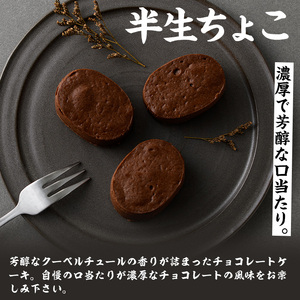 【家計応援】【訳あり！簡易包装】ご自宅用！半生ちーず 9個 と 半生ちょこ 8個 と チーズタルト 1個 計18個「ふわっふわのスフレタイプのプチケーキ！半生チーズ」と「濃厚で芳醇！ふんわりかるーい♪半生ちょこ」 と 「とろとろちーずタルト」の詰合せ チーズケーキ チョコケーキ 食べ比べ 冷凍 個包装 スイーツ【CP-018H】