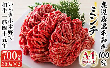鹿児島県産黒毛和牛100%ミンチ(約350g×2パック・約700g) 和牛ミンチ 国産和牛 黒毛和牛 ミンチ 【A-676H】 10,500円