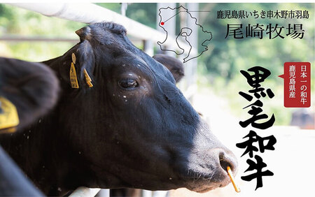 鹿児島県産和牛 A4等級以上 尾崎牧場産黒毛和牛 スネ肉角切り 700g【A-1602H】