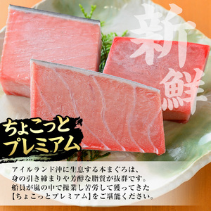 【ちょこっとプレミアム】天然本まぐろフルセット 合計約300g【A-2019H】