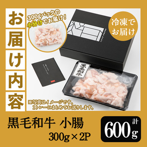 鹿児島県産 黒毛和牛 小腸 ホルモン 600g(300g×2P) 冷凍 小分け 国産 鹿児島県産 黒毛和牛 モツ 生ホルモン 生冷凍ホルモン お取り寄せ【A-1741H】