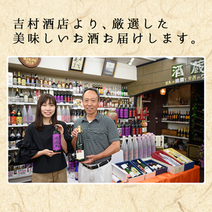 芋焼酎 「薩摩一 (さつまいち) 」900ml×4本 25度 本格芋焼酎 鹿児島県産 「黄金千貫」 使用! 黒麹 若松酒造 【A-1307H】