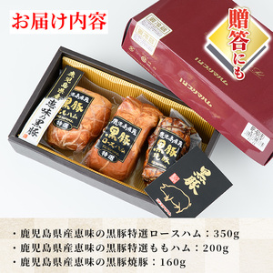 【令和6年お歳暮期間限定】鹿児島県産恵味の黒豚ギフトBP-60（R）【SA-243H】