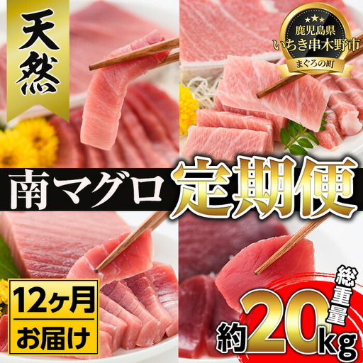 【定期便12回（毎月）】南マグロ大トロ、中トロ、赤身を1年間毎月お届け。1回分の内容量は南マグロの合計８本（１本あたり、200～230g） (大トロ×１、上トロ×２、中トロ×２、赤身×３)。幻のマグロといわれる南マグロを1年間毎月お届け！【S-022H】