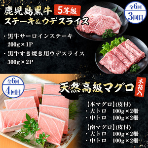 <6ヶ月定期便>いちき串木野プレミアム定期便(マグロ・鰻・牛肉)【PT-004H】