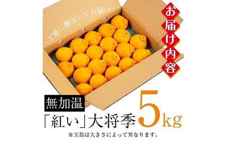 【先行予約・1月中旬頃から発送】JAさつま日置いちき串木野産無加温大将季 約5kg 不知火(デコポン)の枝変わり新品種! 果樹【A-2003H】