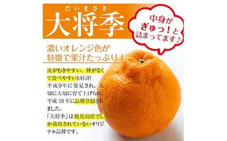 【先行予約・1月中旬頃から発送】JAさつま日置いちき串木野産無加温大将季 約5kg 不知火(デコポン)の枝変わり新品種! 果樹【A-2003H】