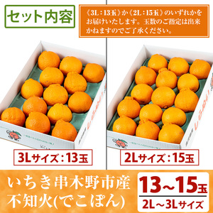 ＼数量・期間限定／池之上果樹園の”旬”の不知火（しらぬい） 5kg 超え（3L13玉または2L15玉）秀品 産直 農家直送 濃厚 デコポン と 同品種 フルーツ 柑橘 みかん 【A-814H】