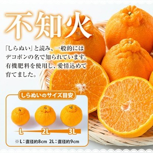 ＼数量・期間限定／池之上果樹園の”旬”の不知火（しらぬい） 5kg 超え（3L13玉または2L15玉）秀品 産直 農家直送 濃厚 デコポン と 同品種 フルーツ 柑橘 みかん 【A-814H】