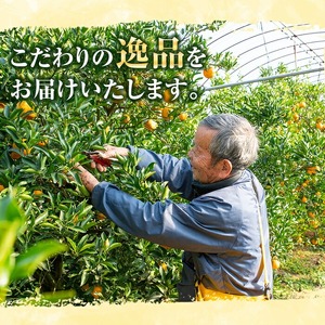 ＼数量・期間限定／池之上果樹園の”旬”の不知火（しらぬい） 5kg 超え（3L13玉または2L15玉）秀品 産直 農家直送 濃厚 デコポン と 同品種 フルーツ 柑橘 みかん 【A-814H】