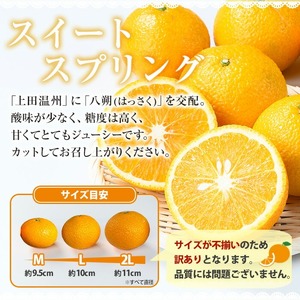 \希少/樹上完熟 スイートスプリング 10kg(M~2L)サイズ混合 満杯詰 ご家庭用 訳アリ 剝き方用紙付き!【A-1820H】