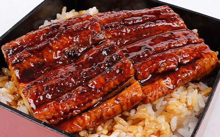 【ふるなびWEEK対象】鹿児島県産 うなぎ 蒲焼 300g（60g×5袋）レンジで簡単！ 九州 鹿児島県産 うなぎ蒲焼 をご家庭で！【FNA-001H】