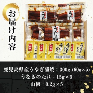 【ふるなびWEEK対象】鹿児島県産 うなぎ 蒲焼 300g（60g×5袋）レンジで簡単！ 九州 鹿児島県産 うなぎ蒲焼 をご家庭で！【FNA-001H】